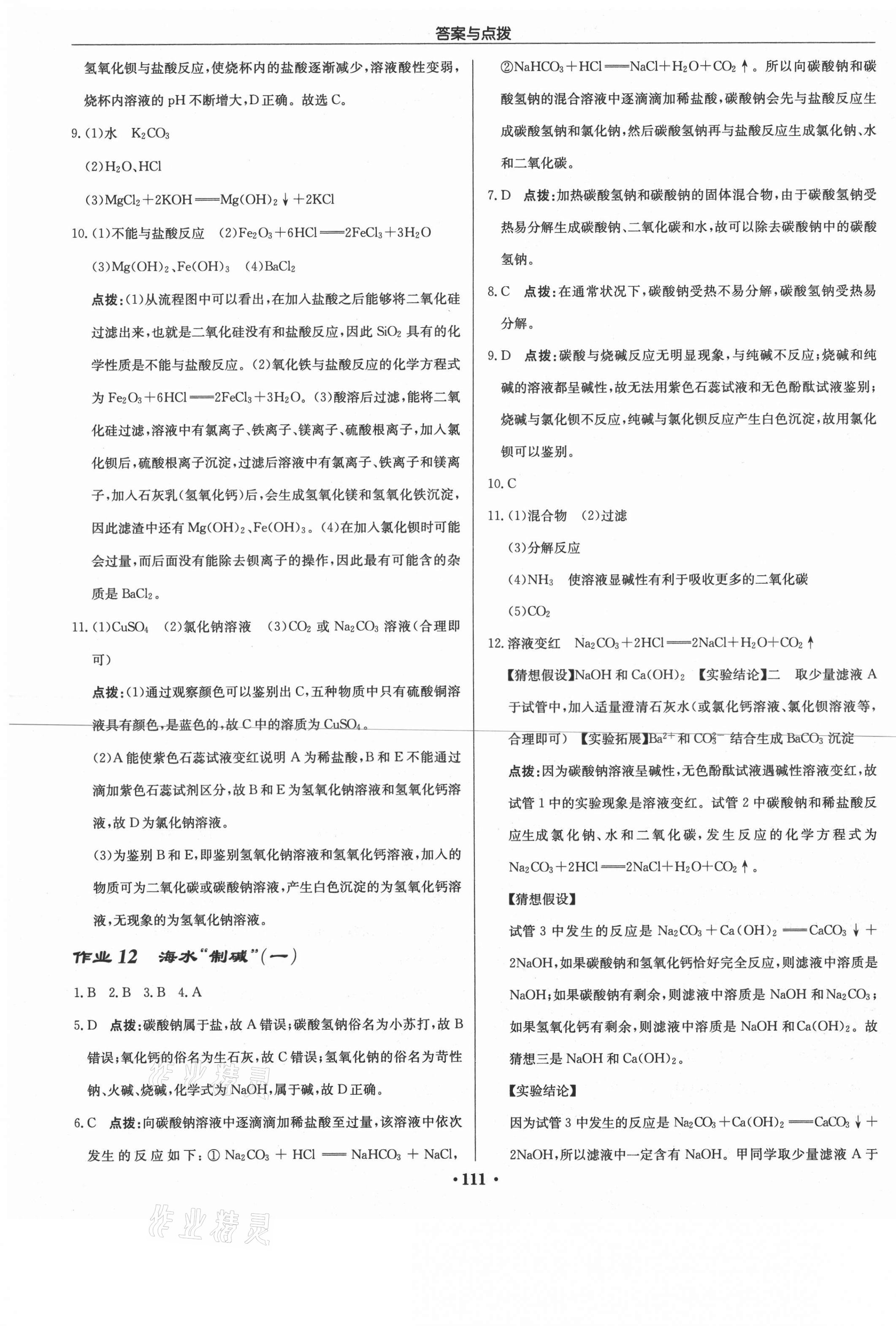 2021年启东中学作业本九年级化学下册鲁教版 第9页