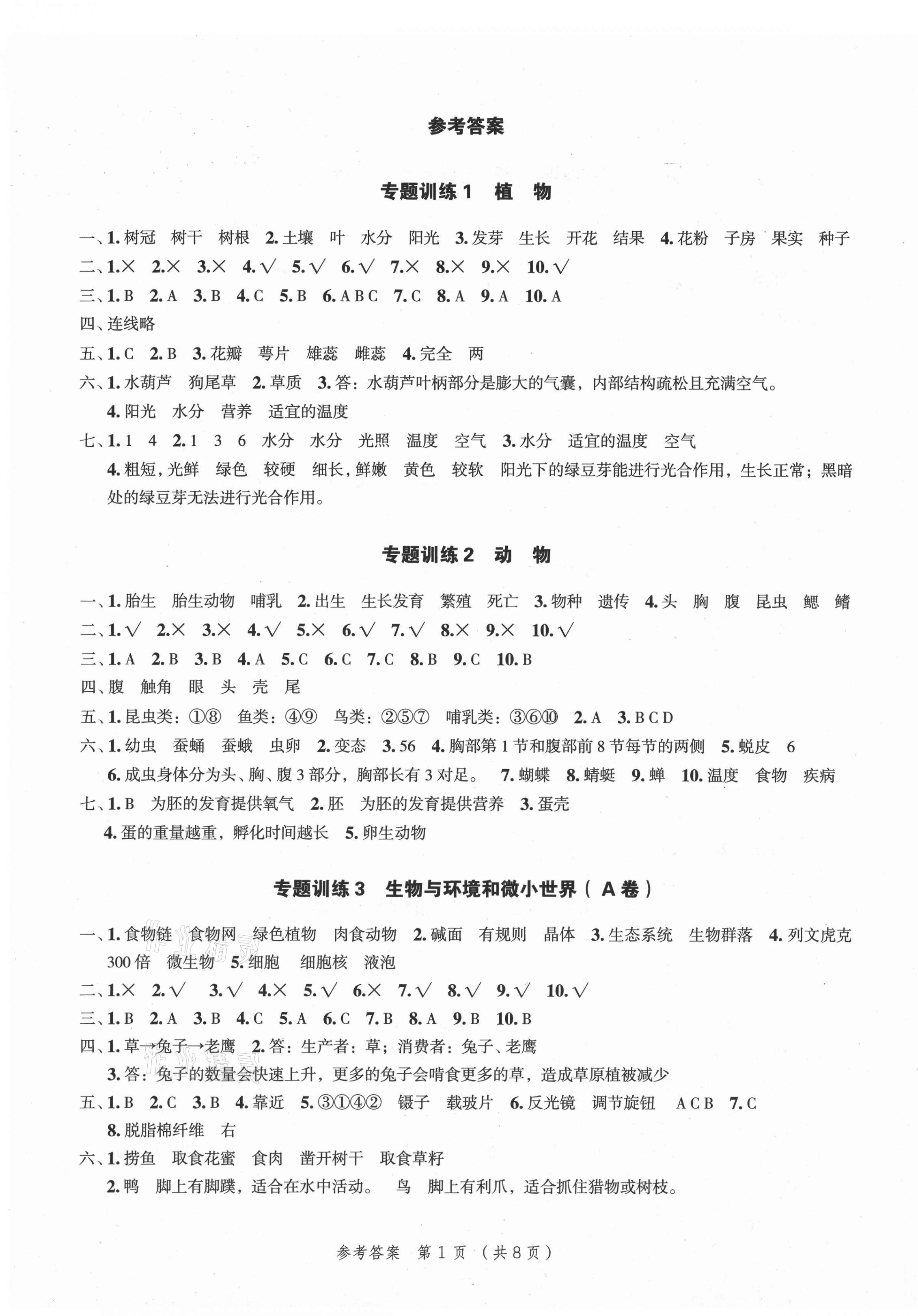 2021年名師面對面小考致高點科學 第3頁