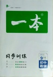 2021年一本同步訓(xùn)練九年級初中數(shù)學(xué)下冊北師大版