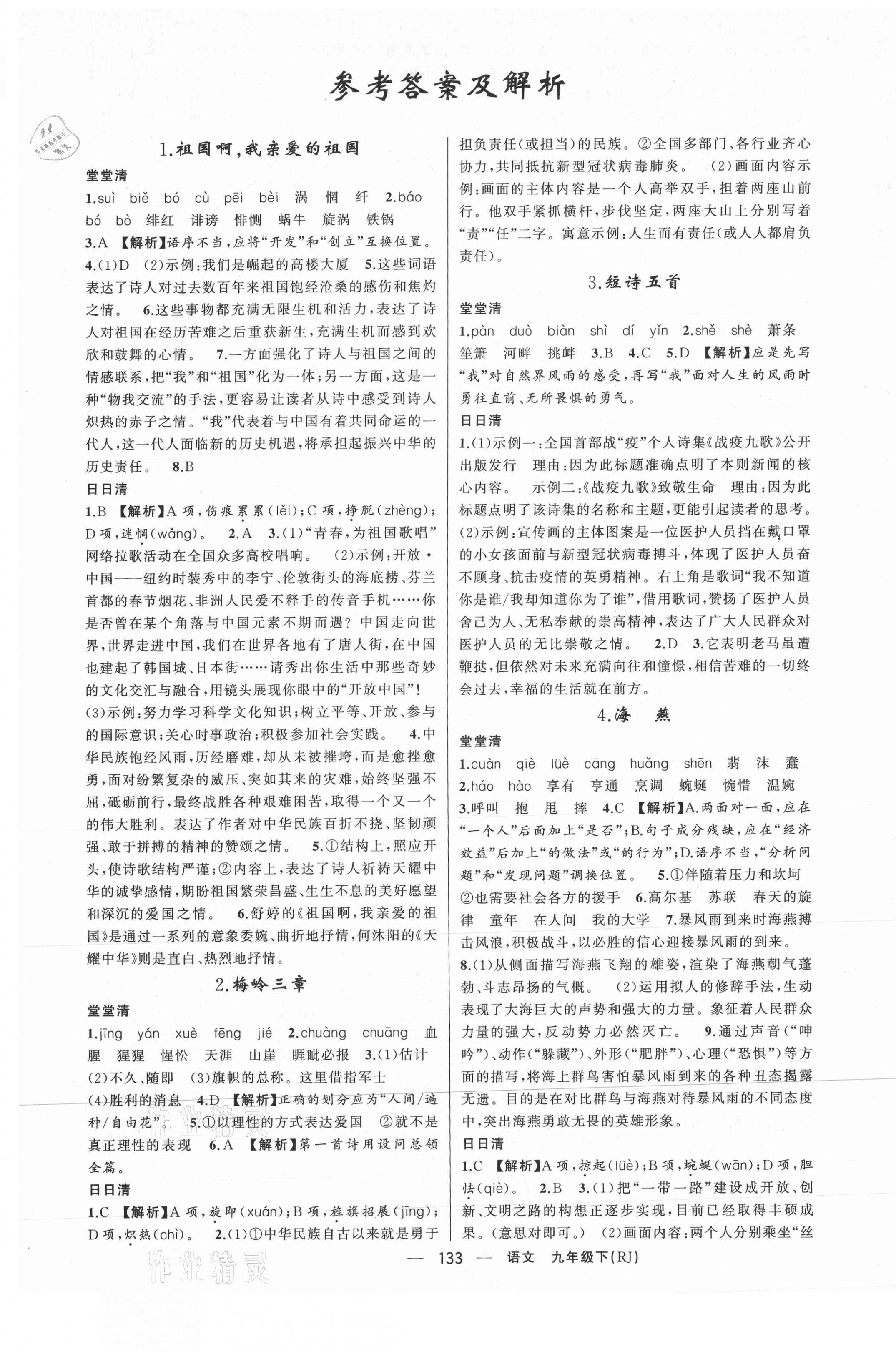 2021年四清導(dǎo)航九年級語文下冊人教版河南專版 第1頁