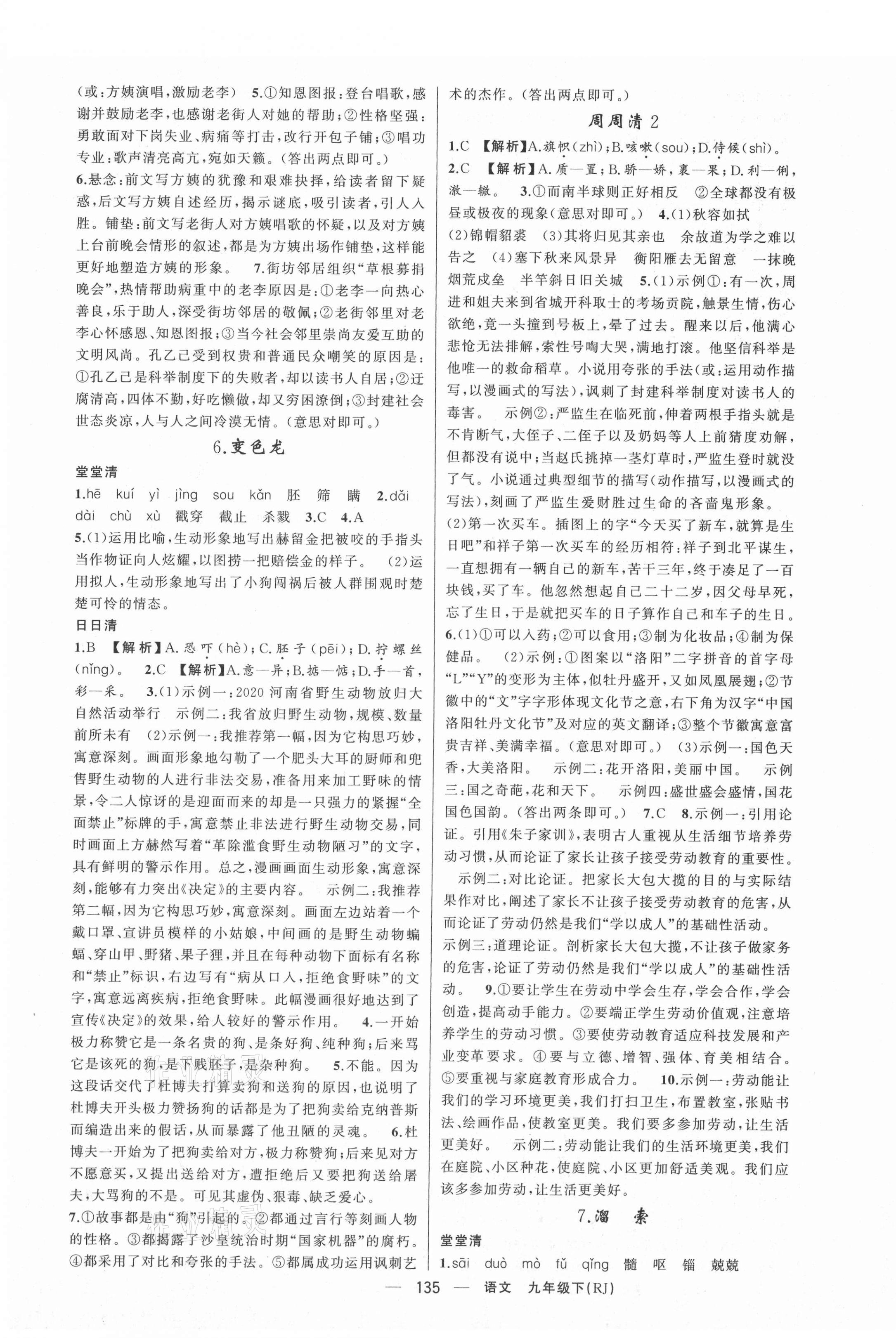 2021年四清導(dǎo)航九年級(jí)語(yǔ)文下冊(cè)人教版河南專版 第3頁(yè)