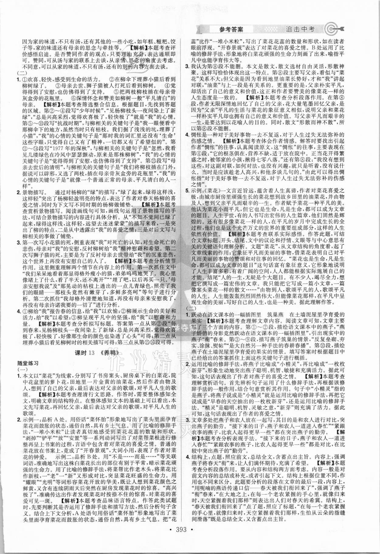 2021年追擊中考語文江西專版 參考答案第7頁