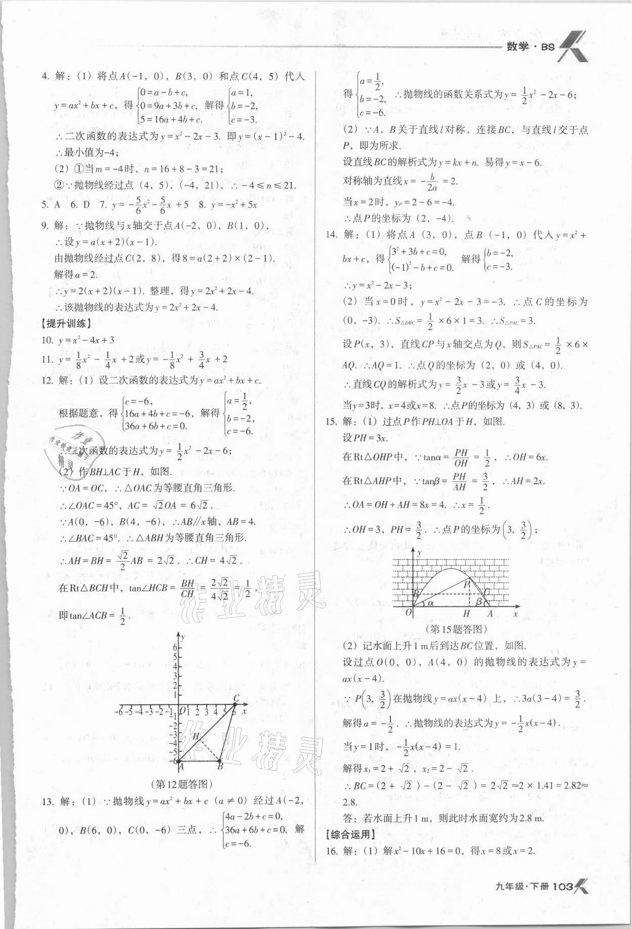 2021年全优点练课计划九年级数学下册北师大版 第11页