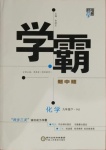 2021年經(jīng)綸學(xué)典學(xué)霸九年級化學(xué)下冊滬教版