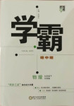 2021年經(jīng)綸學典學霸九年級物理下冊江蘇版