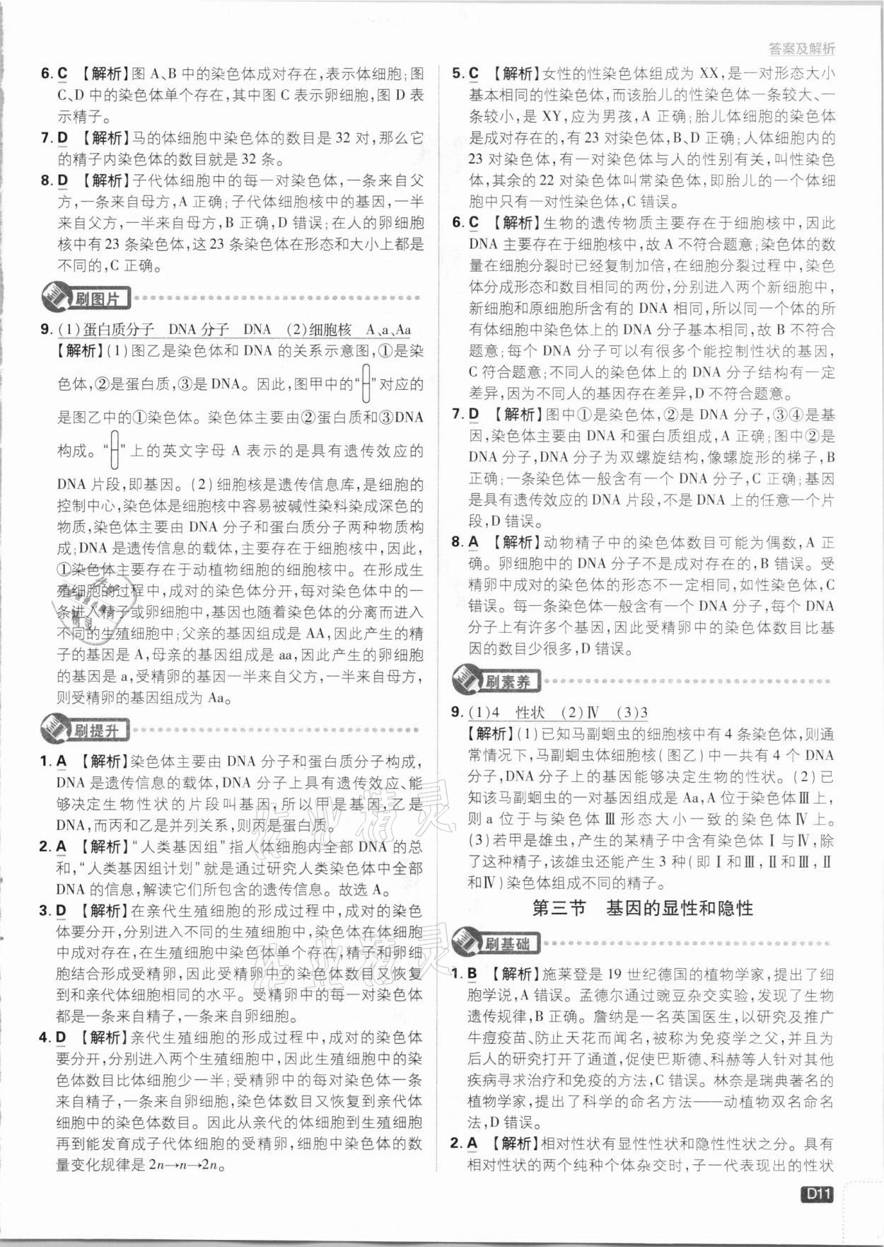 2021年初中必刷題八年級(jí)生物下冊(cè)人教版 參考答案第11頁(yè)
