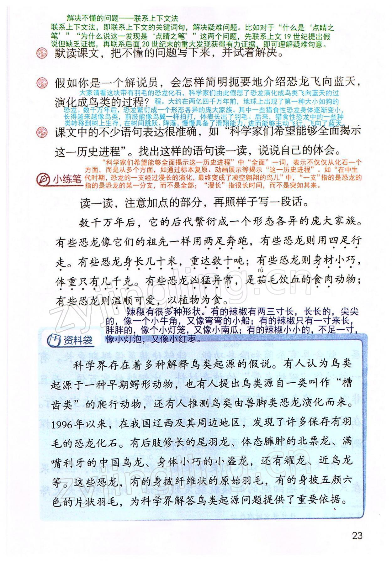 2022年教材课本四年级语文下册人教版 参考答案第23页