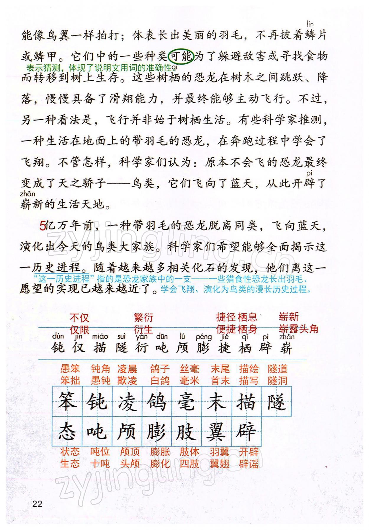 2022年教材課本四年級(jí)語(yǔ)文下冊(cè)人教版 參考答案第22頁(yè)