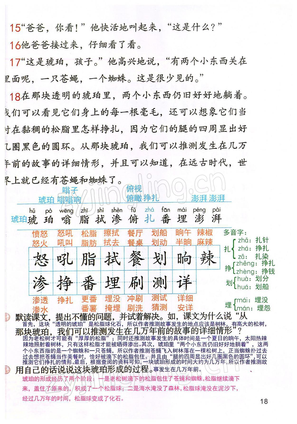 2022年教材课本四年级语文下册人教版 参考答案第18页