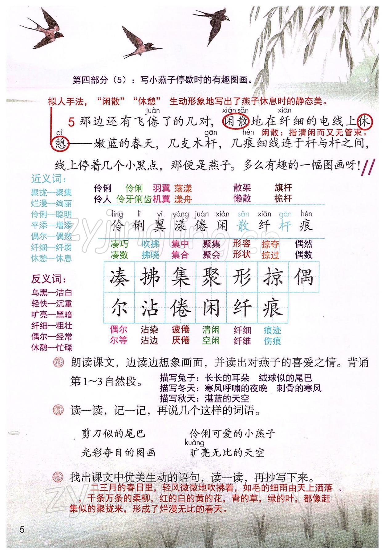 2022年教材課本三年級語文下冊人教版 參考答案第5頁