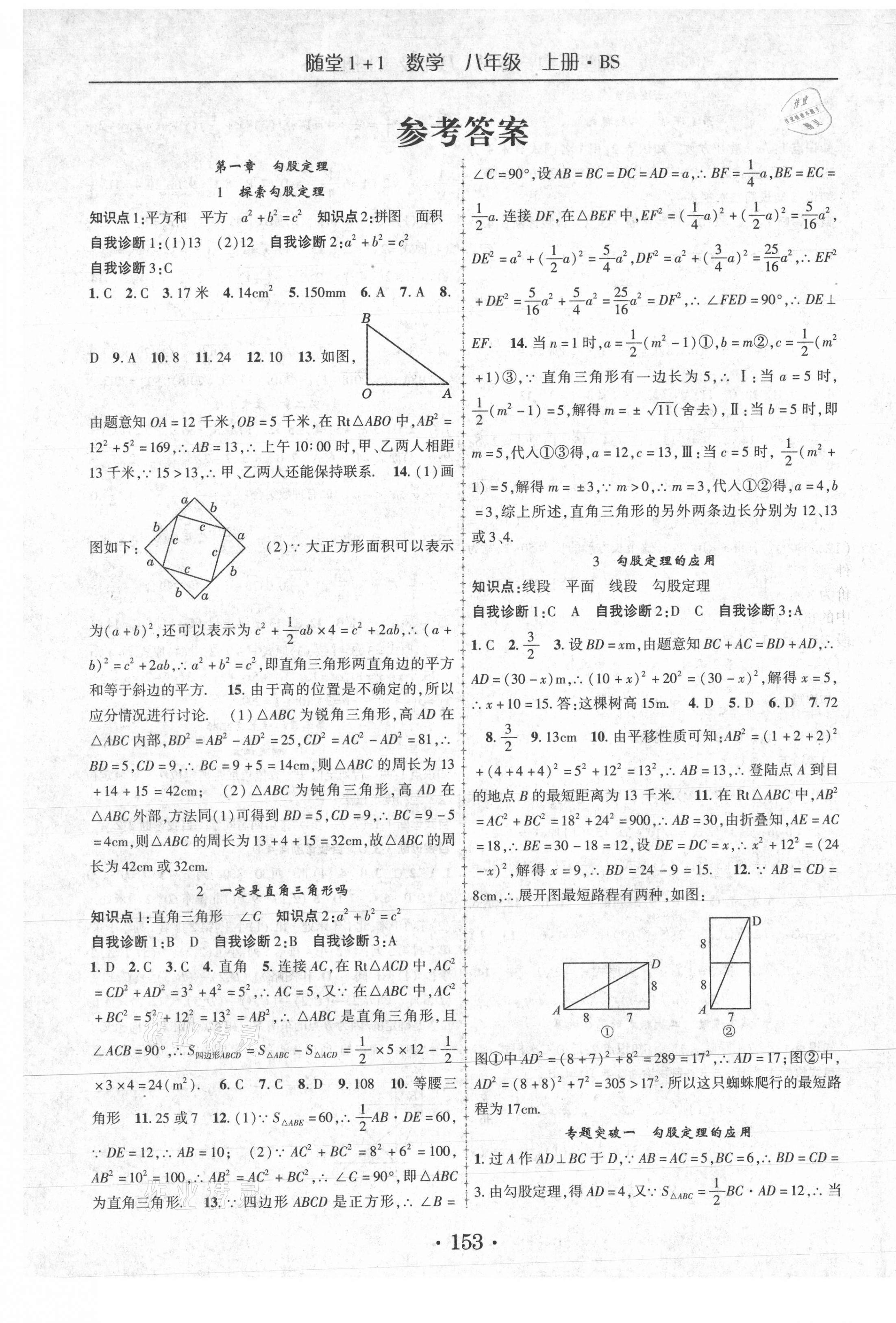 2020年隨堂1加1導(dǎo)練八年級(jí)數(shù)學(xué)上冊(cè)北師大版 第1頁(yè)