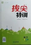 2021年拔尖特訓(xùn)七年級(jí)數(shù)學(xué)下冊(cè)人教版