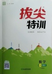 2021年拔尖特訓八年級數學下冊人教版