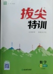 2021年拔尖特訓(xùn)九年級數(shù)學(xué)下冊人教版