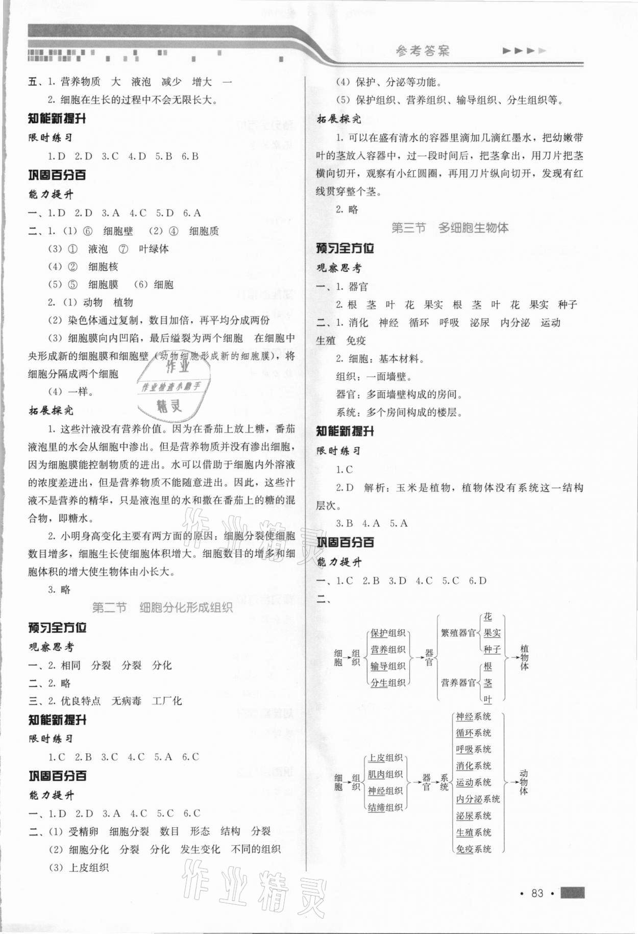 2020年练习新方案七年级生物上册冀少版提升版 第3页