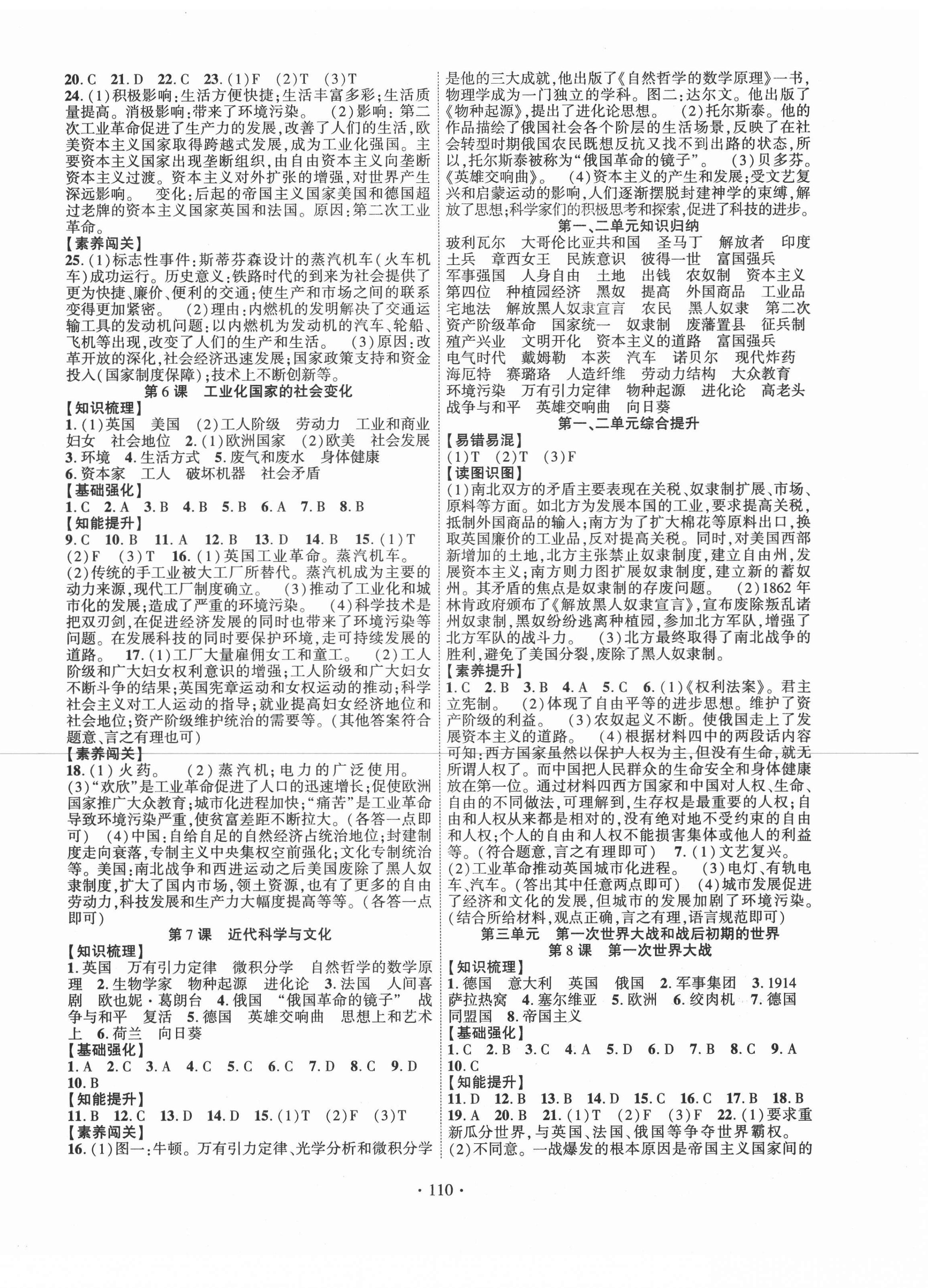 2021年畅优新课堂九年级历史下册人教版江西专版 第2页