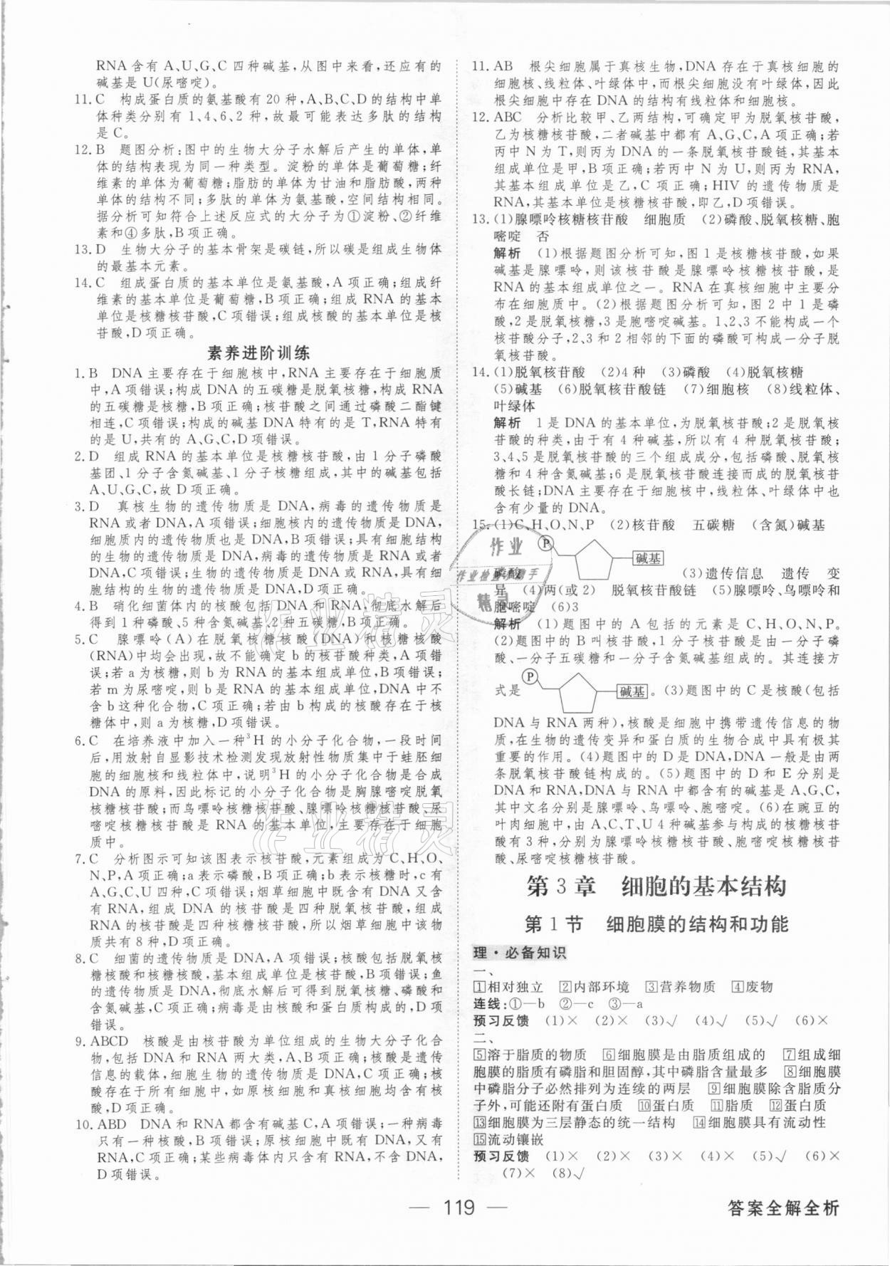 2020年綠色通道45分鐘課時(shí)作業(yè)與單元測(cè)評(píng)高中生物學(xué)必修第一冊(cè)人教版 參考答案第10頁