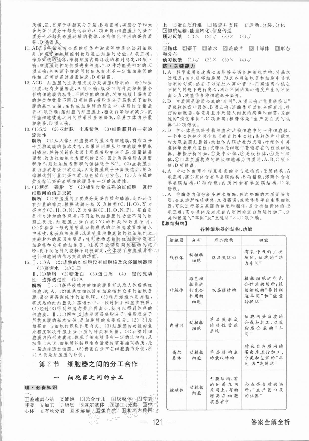 2020年綠色通道45分鐘課時作業(yè)與單元測評高中生物學(xué)必修第一冊人教版 參考答案第12頁