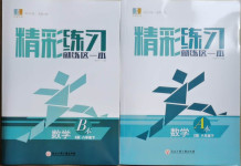 2021年精彩練習(xí)就練這一本八年級數(shù)學(xué)下冊浙教版