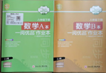 2021年一閱優(yōu)品作業(yè)本八年級數(shù)學下冊浙教版