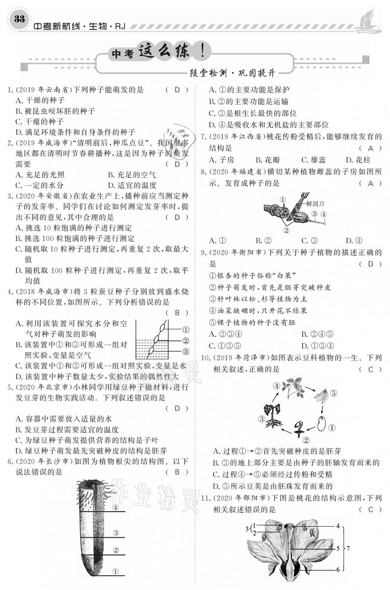 2021年中考新航線生物人教版 參考答案第33頁(yè)