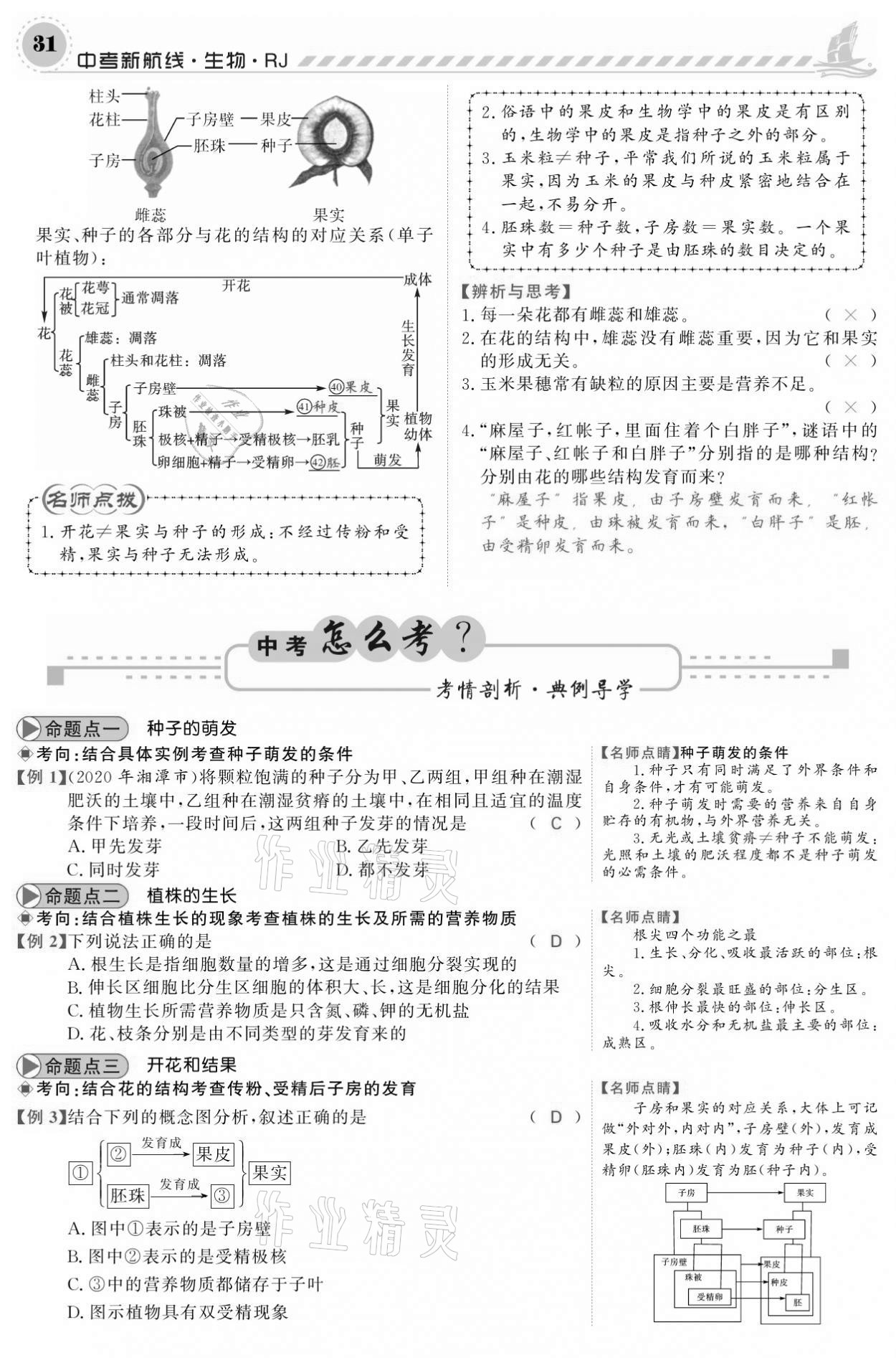 2021年中考新航線生物人教版 參考答案第31頁