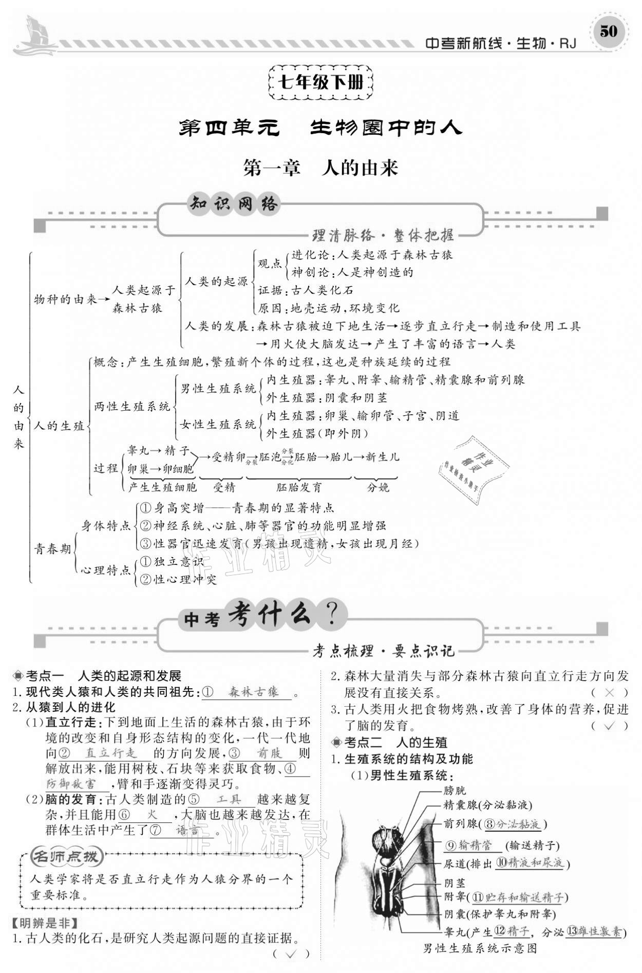 2021年中考新航线生物人教版 参考答案第50页