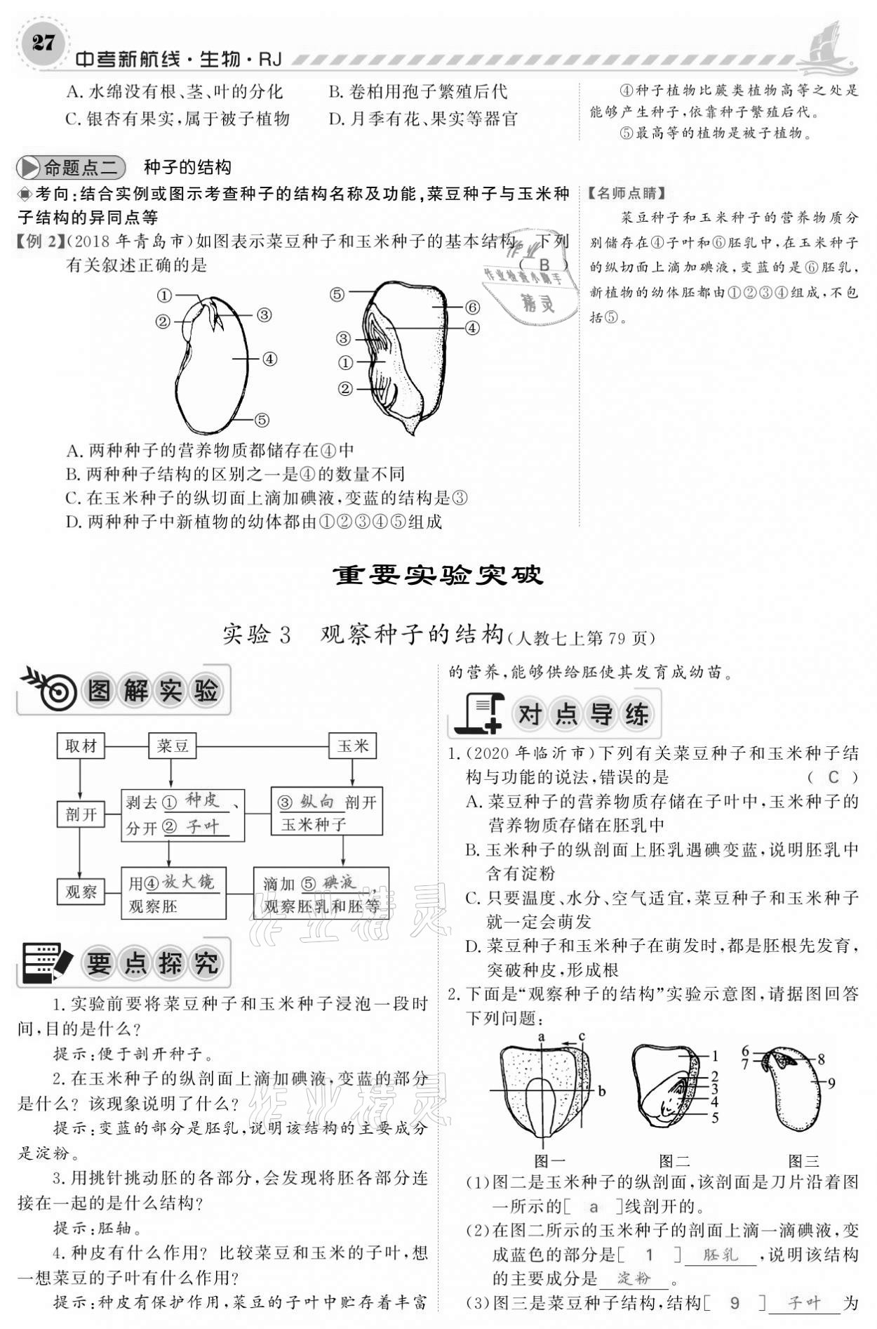 2021年中考新航线生物人教版 参考答案第27页