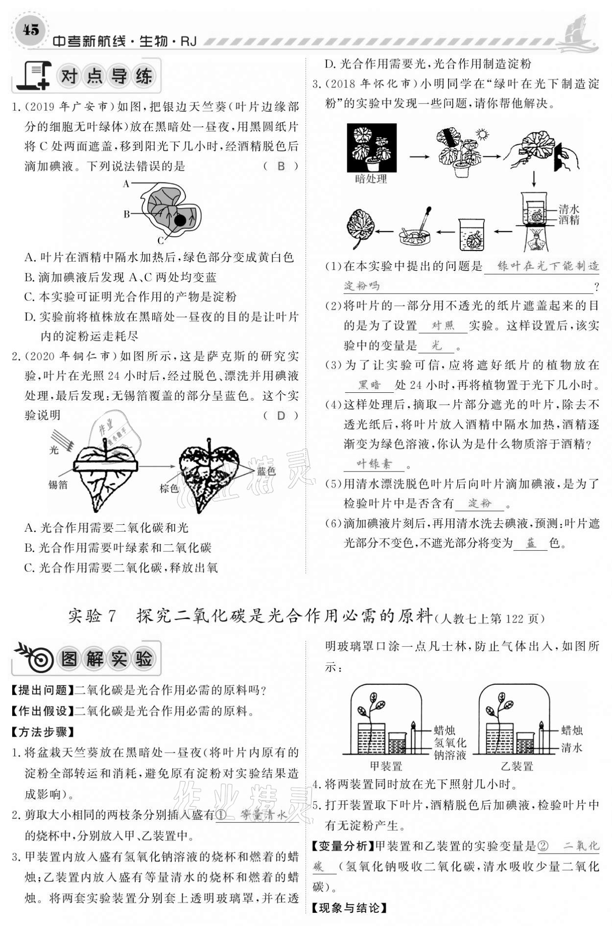 2021年中考新航線生物人教版 參考答案第45頁