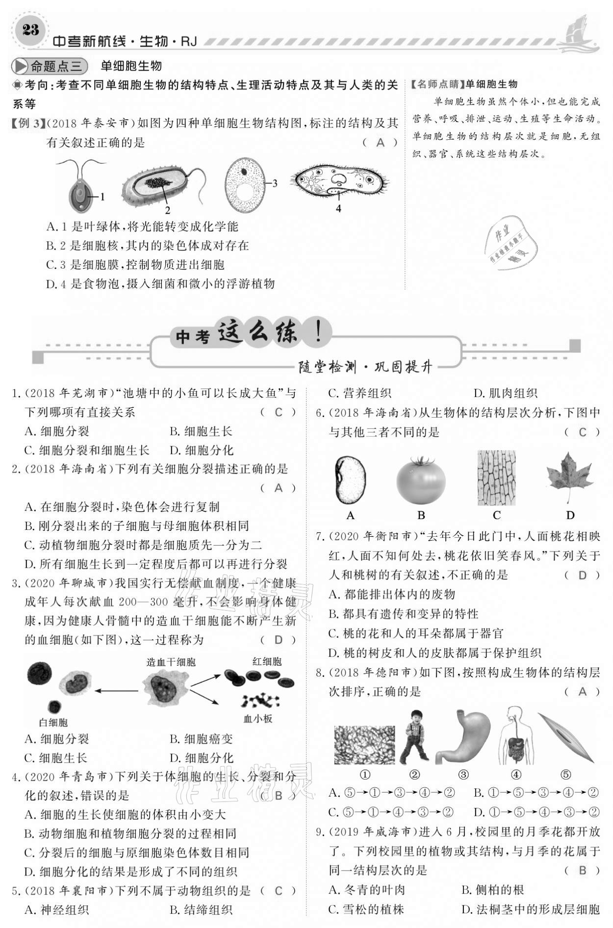 2021年中考新航線生物人教版 參考答案第23頁(yè)