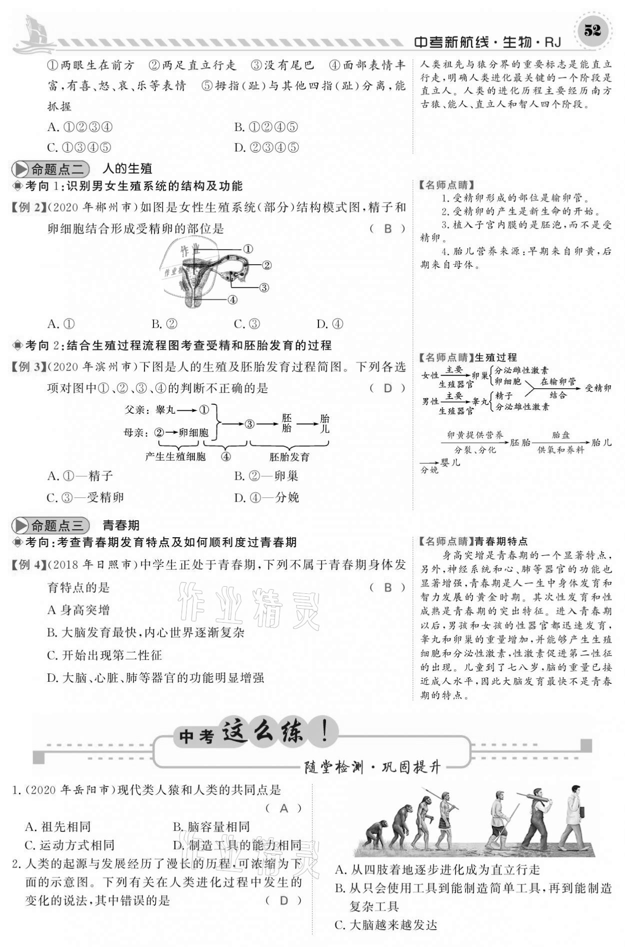 2021年中考新航線(xiàn)生物人教版 參考答案第52頁(yè)