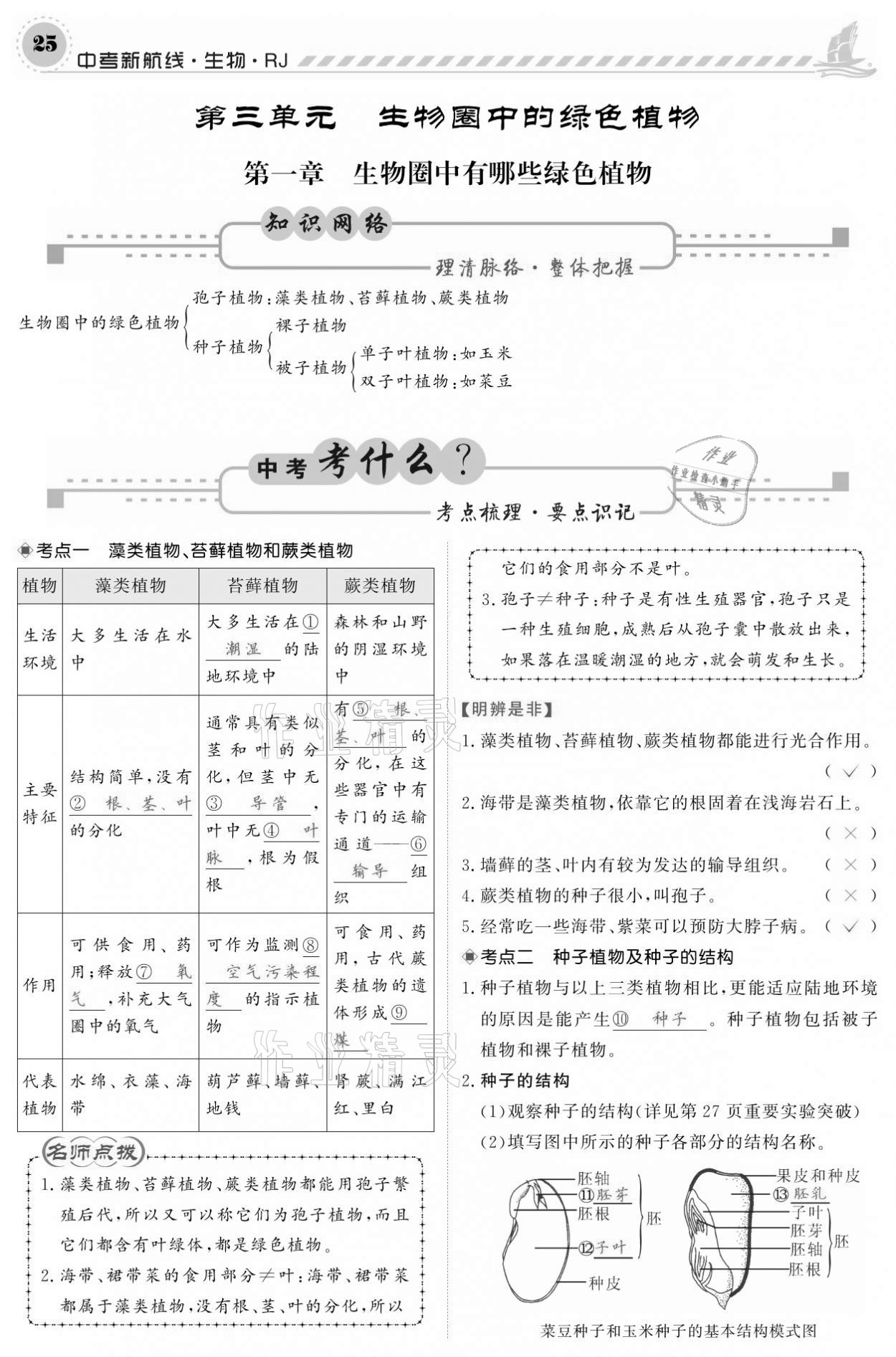 2021年中考新航線生物人教版 參考答案第25頁