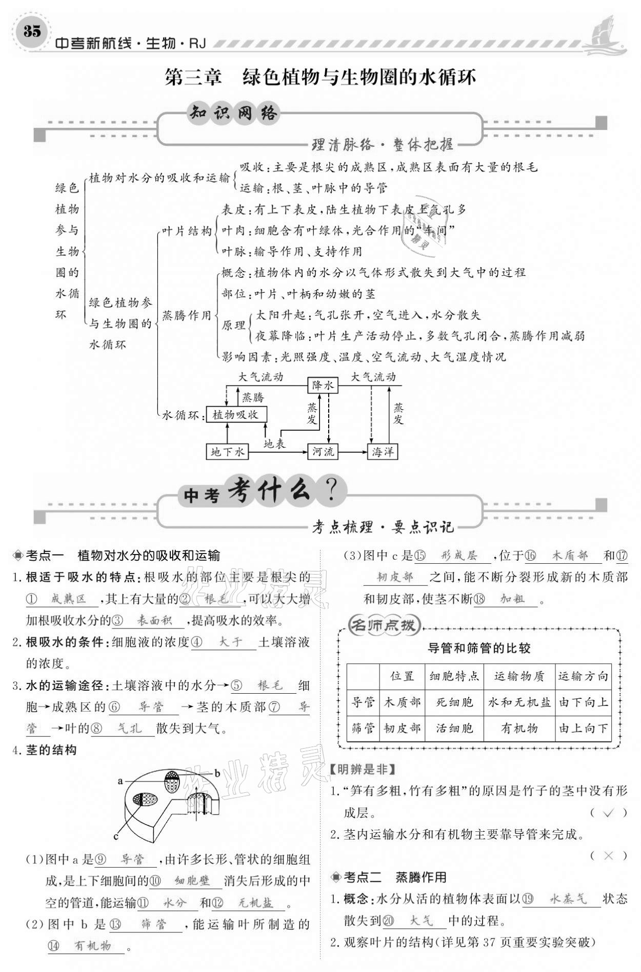 2021年中考新航線生物人教版 參考答案第35頁