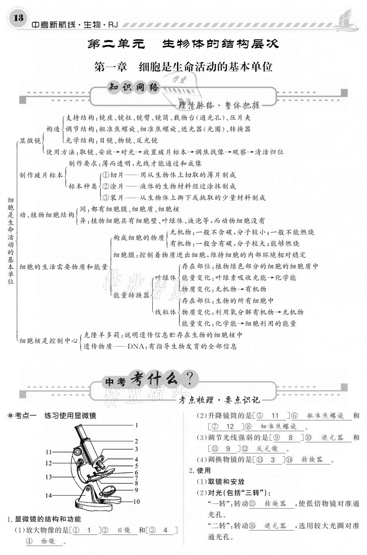 2021年中考新航線生物人教版 參考答案第13頁