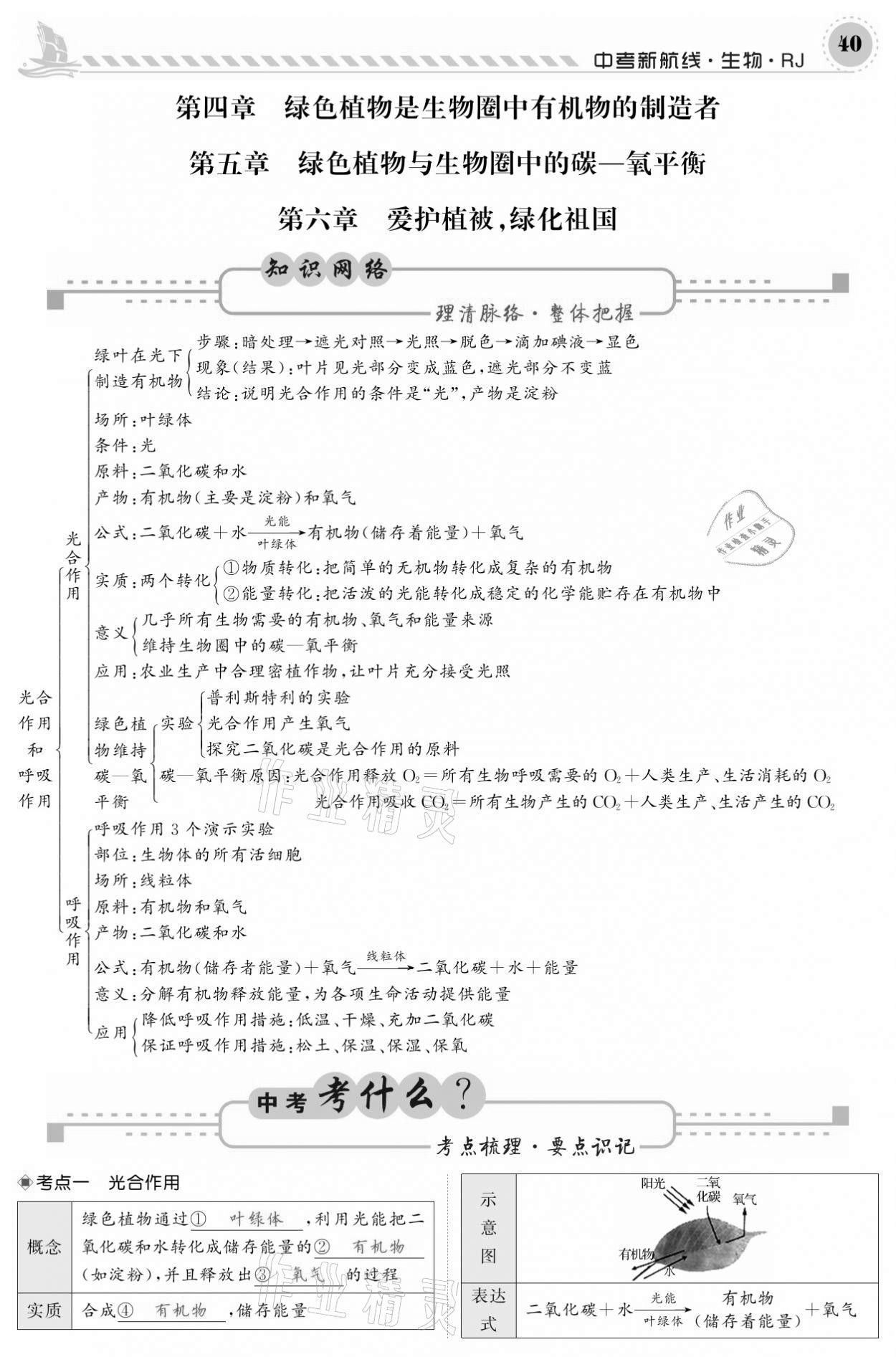 2021年中考新航线生物人教版 参考答案第40页