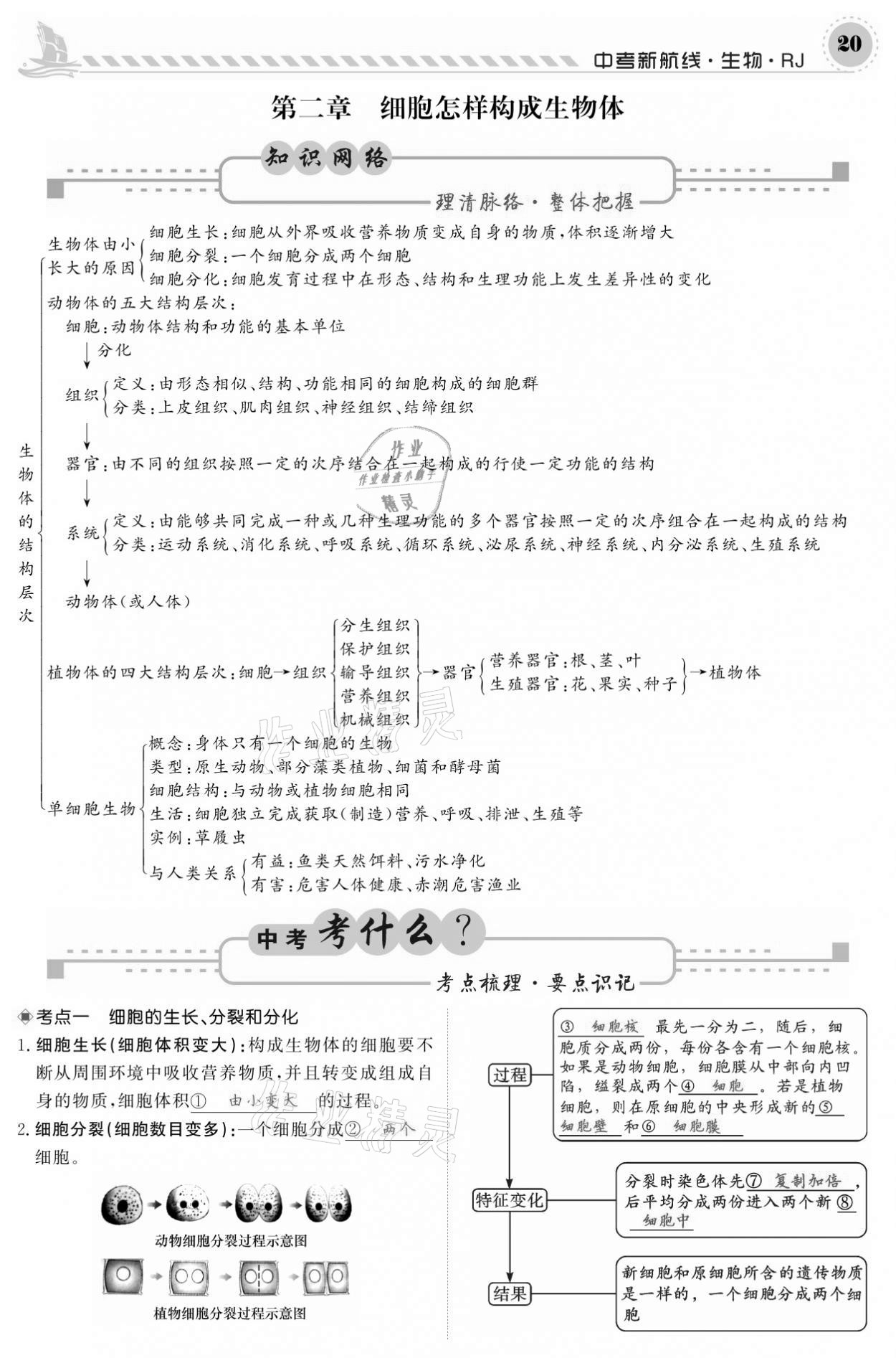 2021年中考新航線生物人教版 參考答案第20頁(yè)