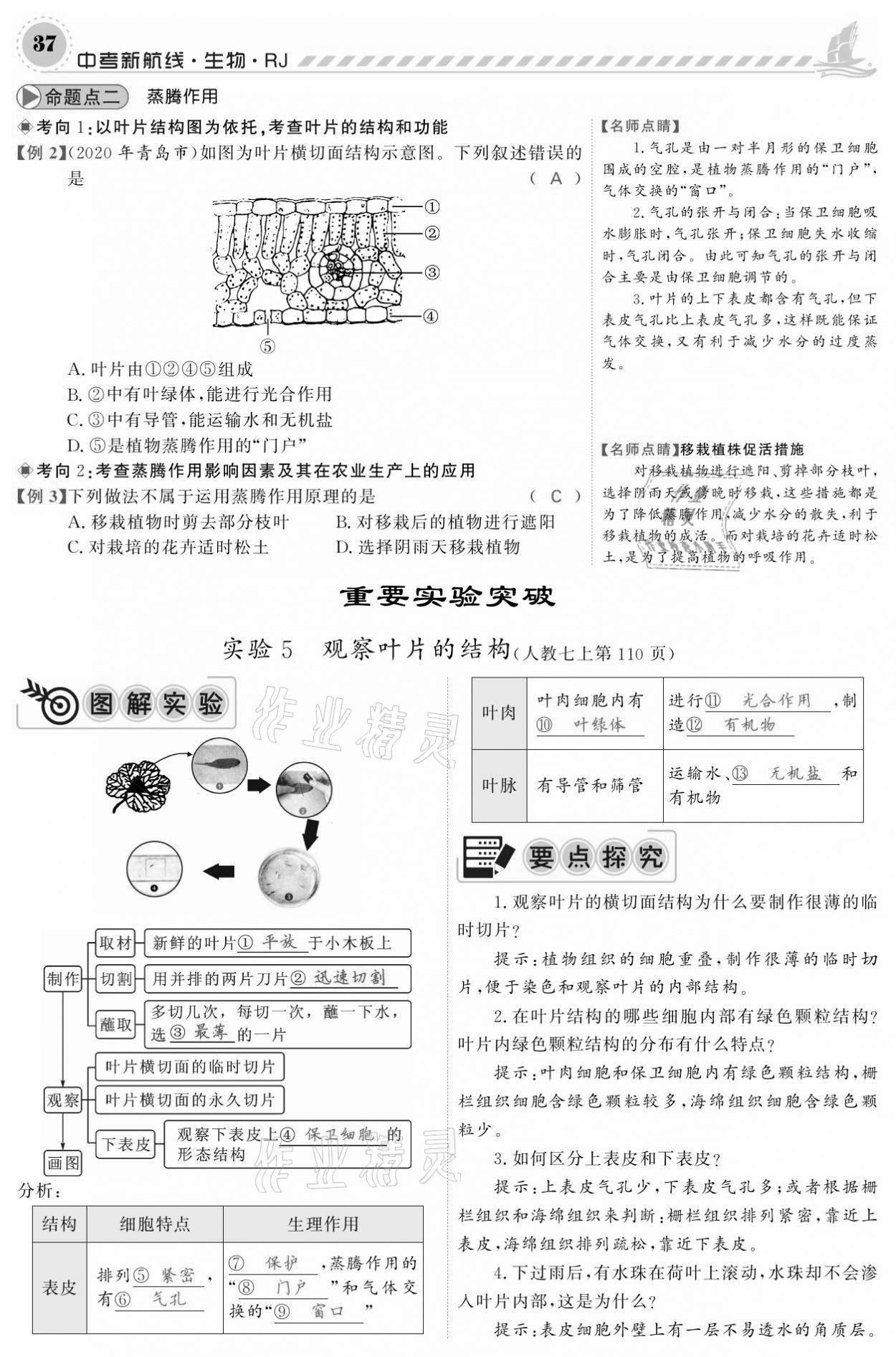 2021年中考新航线生物人教版 参考答案第37页