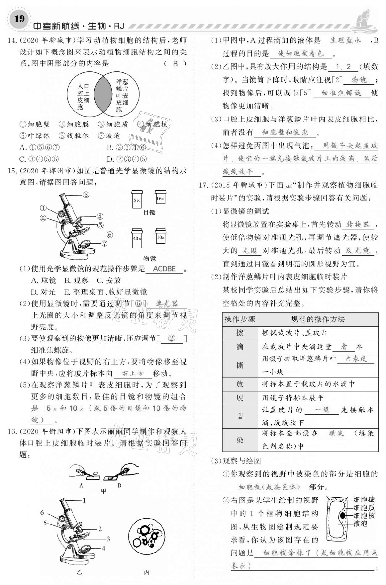 2021年中考新航線生物人教版 參考答案第19頁(yè)