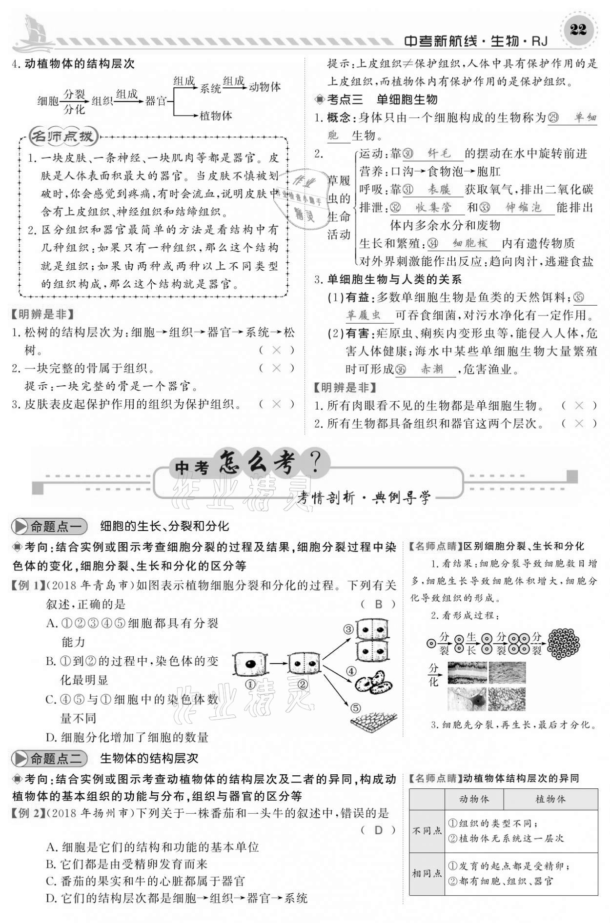 2021年中考新航線(xiàn)生物人教版 參考答案第22頁(yè)