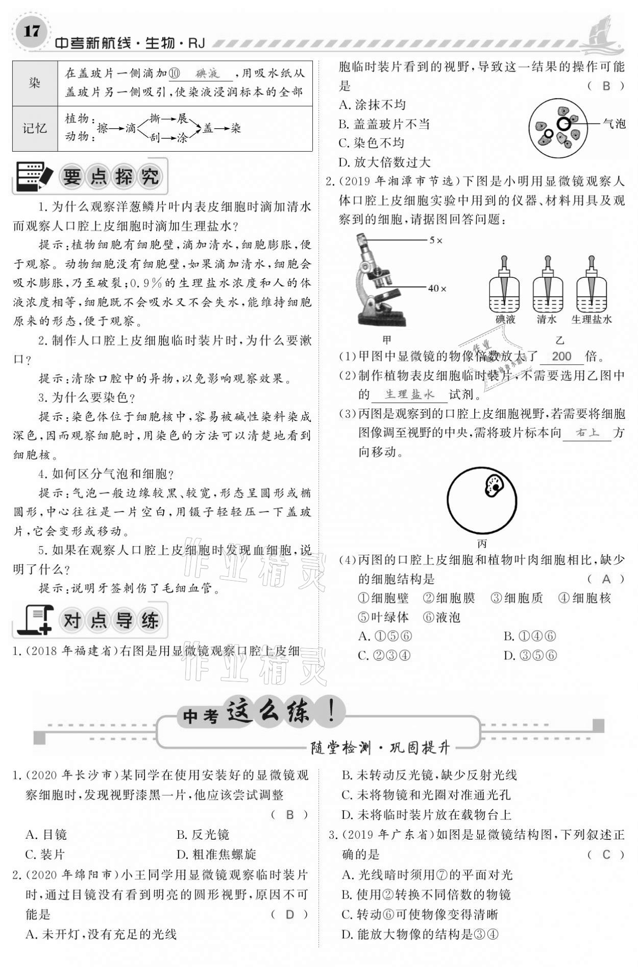 2021年中考新航线生物人教版 参考答案第17页