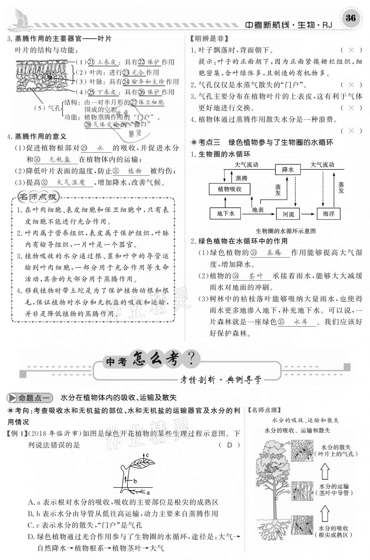 2021年中考新航線生物人教版 參考答案第36頁