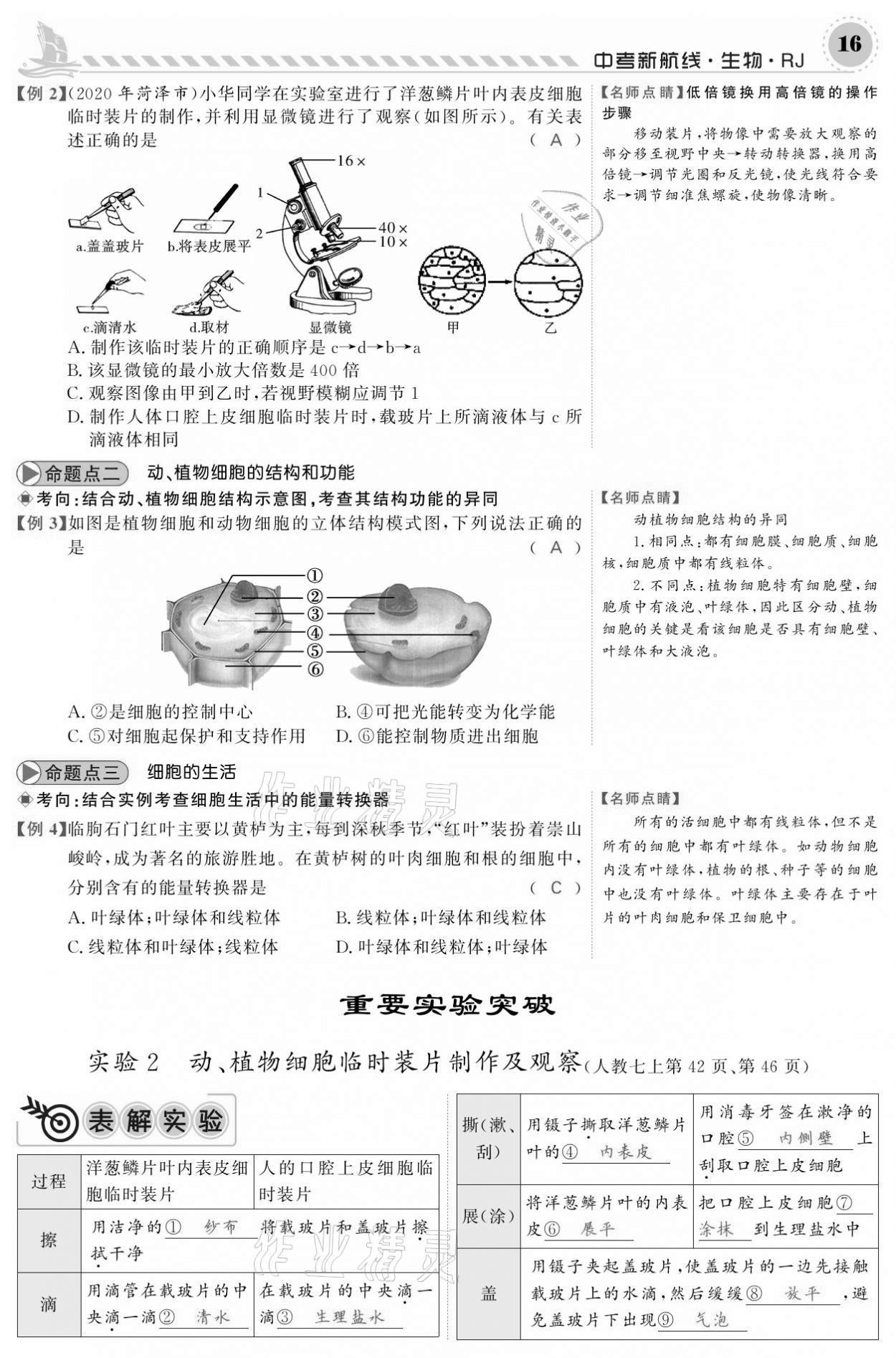 2021年中考新航线生物人教版 参考答案第16页