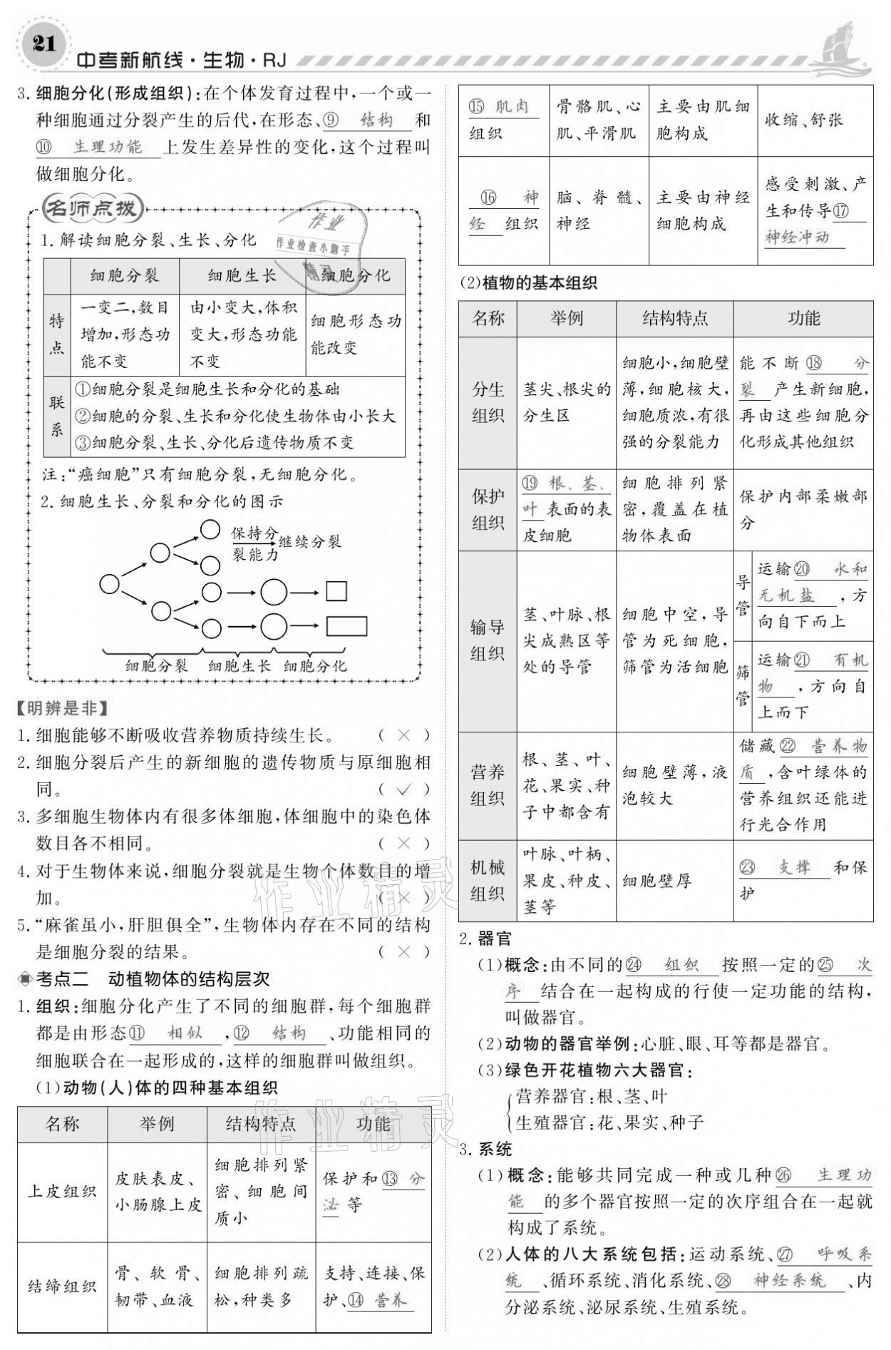 2021年中考新航线生物人教版 参考答案第21页