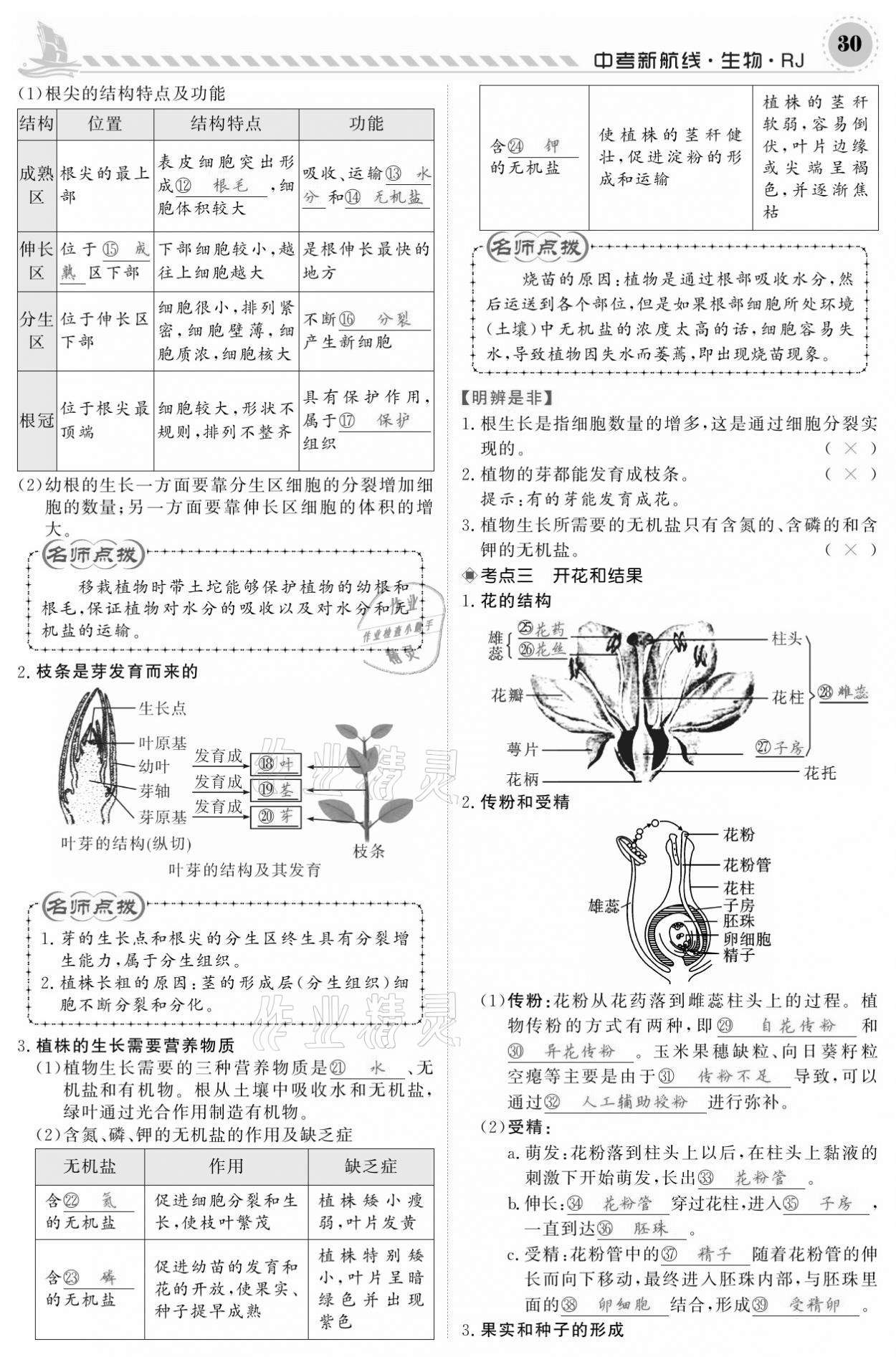 2021年中考新航线生物人教版 参考答案第30页