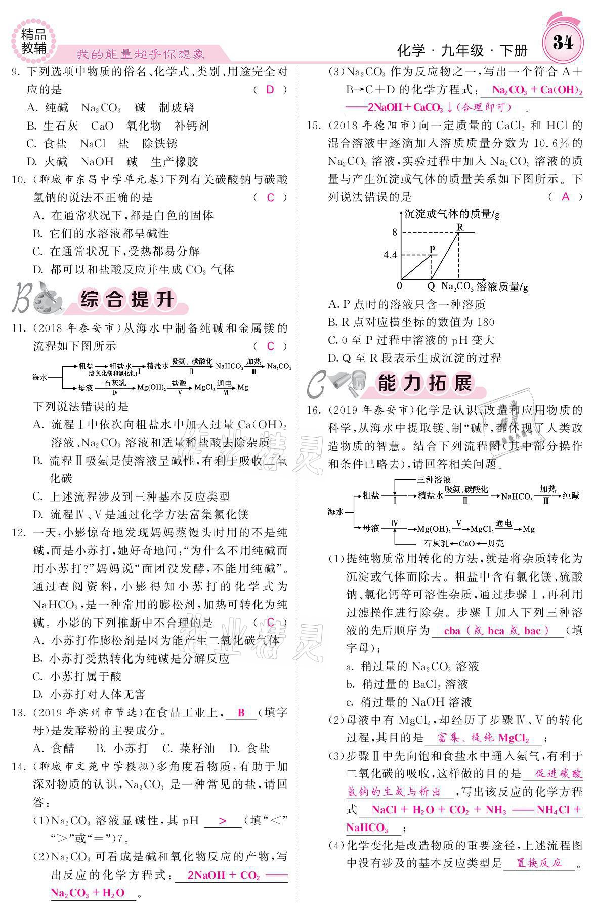 2021年名校课堂内外九年级化学下册鲁教版 参考答案第32页