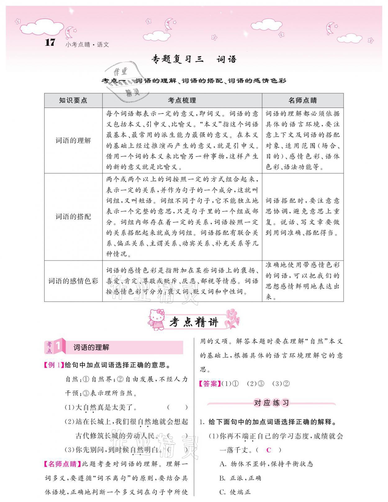 2021年小考點(diǎn)睛語文 參考答案第17頁