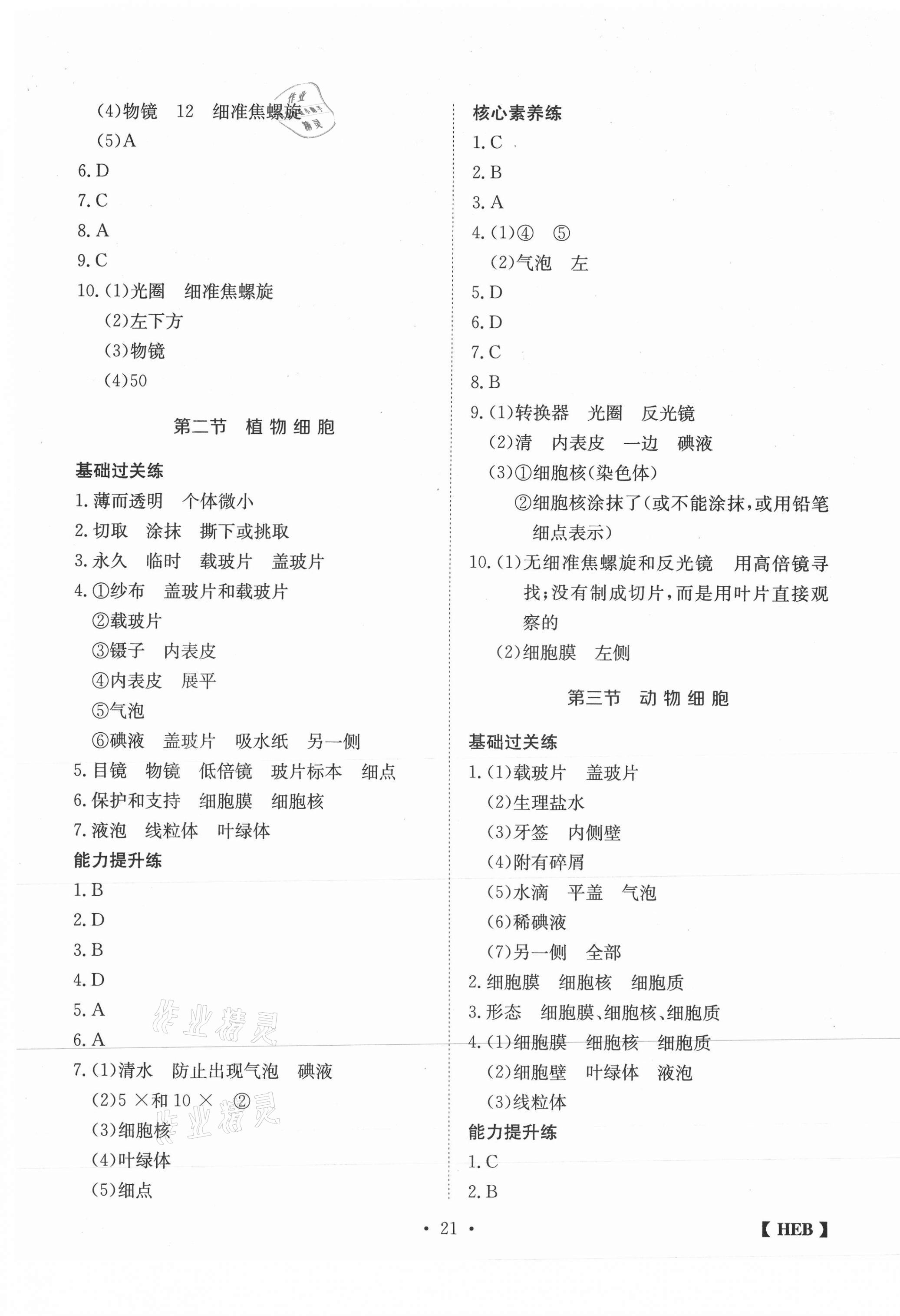 2020年同步課時練日清周練七年級生物上冊人教版 第5頁