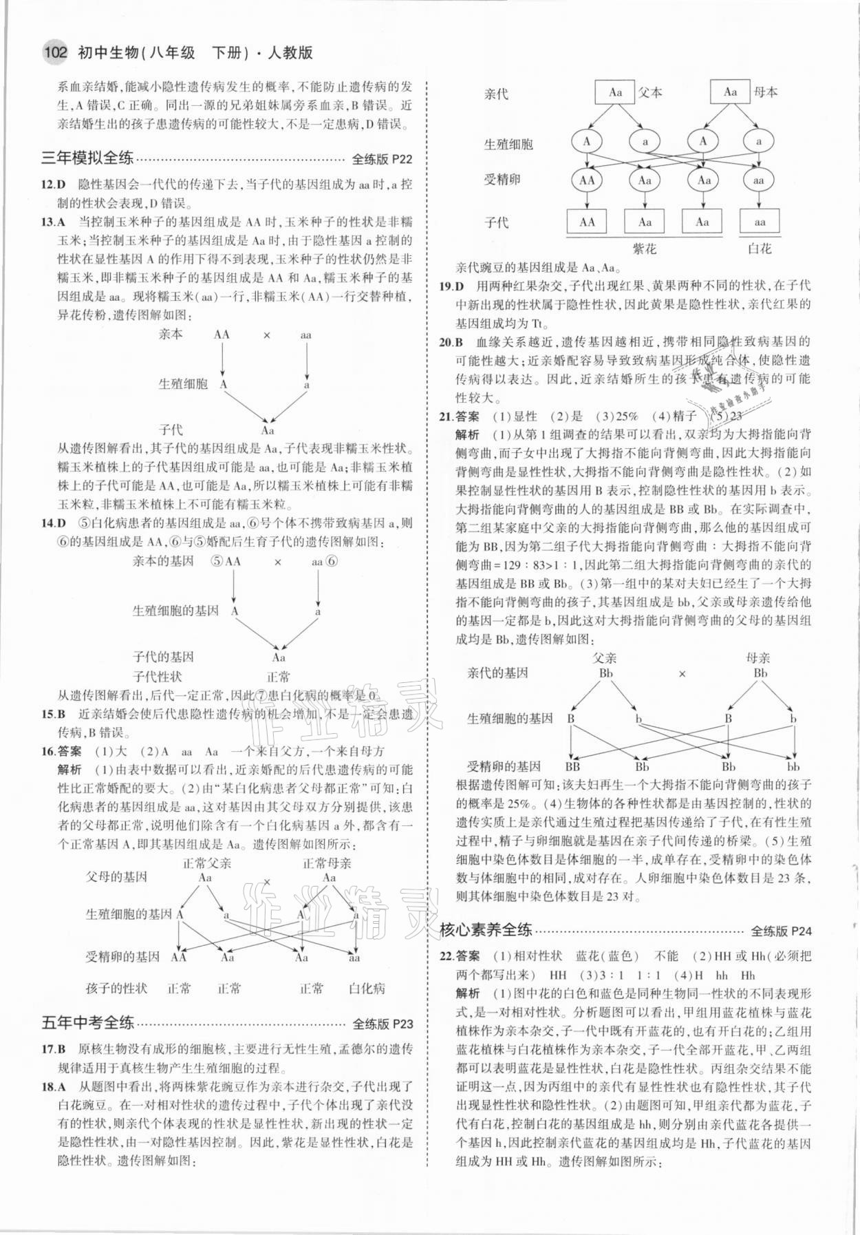 2021年5年中考3年模拟八年级生物下册人教版 参考答案第8页