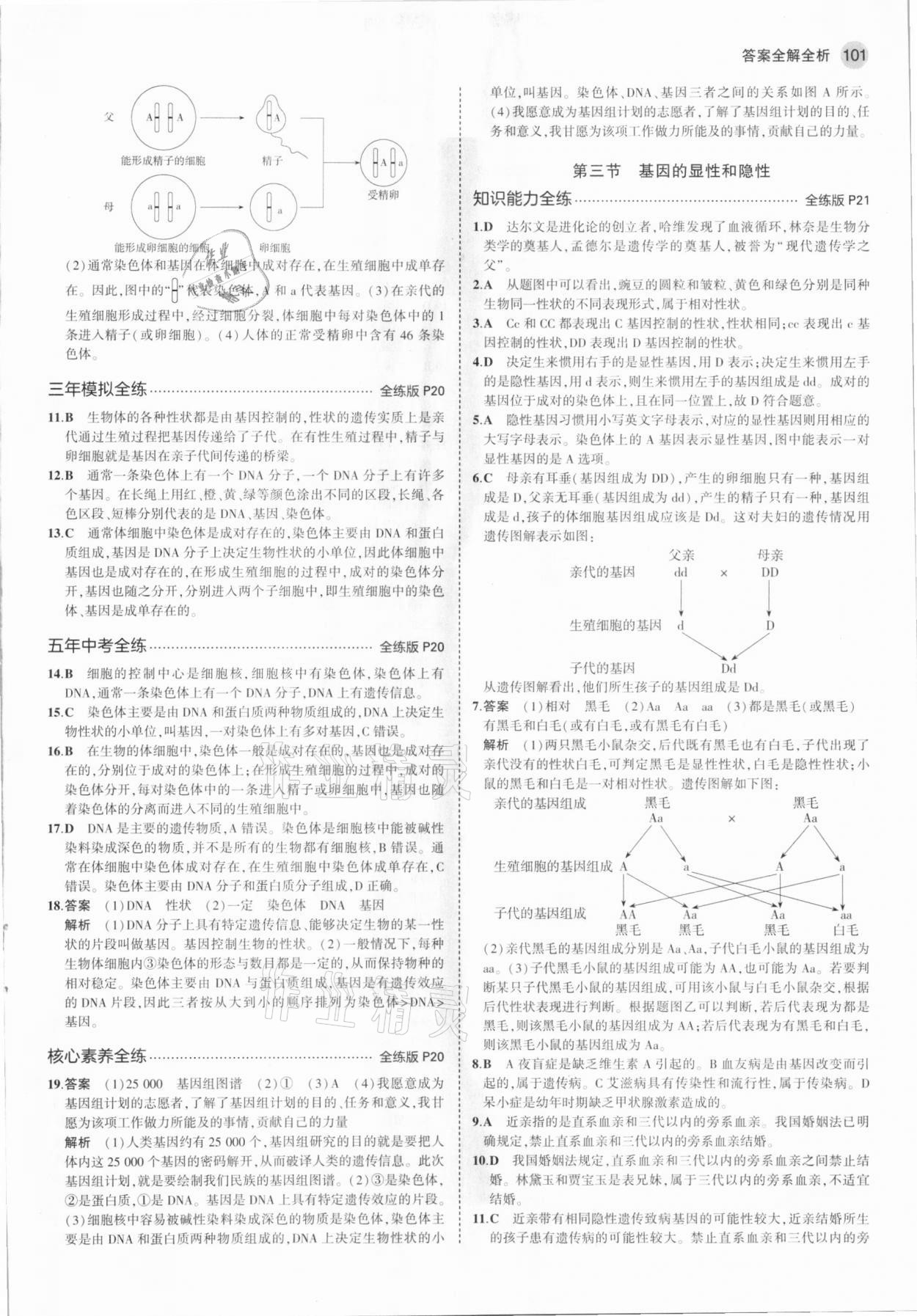 2021年5年中考3年模拟八年级生物下册人教版 参考答案第7页