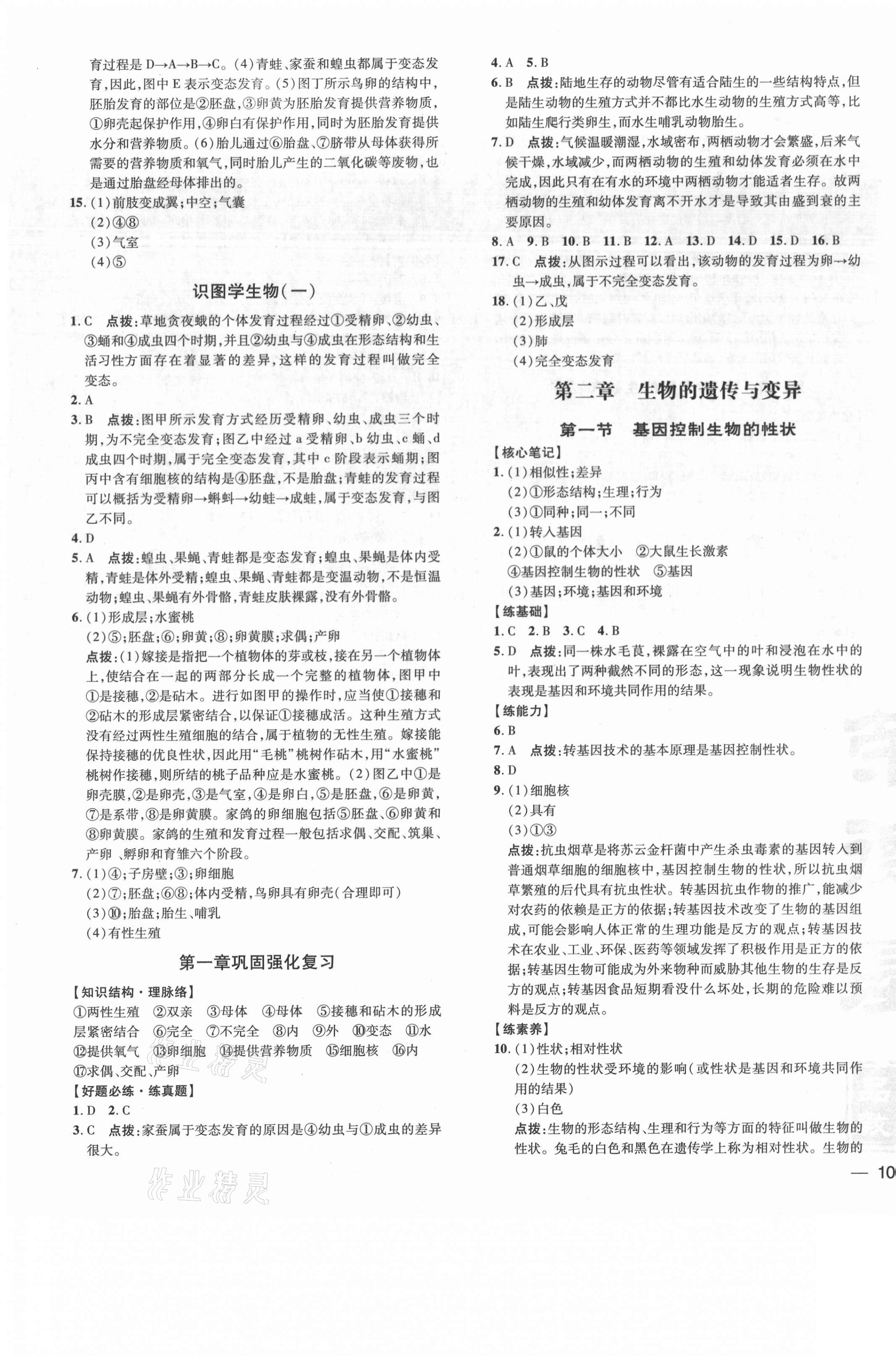 2021年點(diǎn)撥訓(xùn)練八年級生物下冊人教版 參考答案第3頁